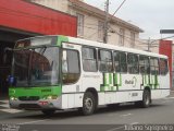 Sigma Transportes Coletivos 10008 na cidade de Piracicaba, São Paulo, Brasil, por Juliano Sgrigneiro. Número da foto: #1089151.