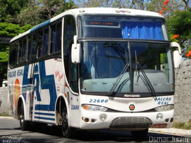 Falcão Real 22600 na cidade de Salvador, Bahia, Brasil, por Osmar Junior. Número da foto: #1090638.