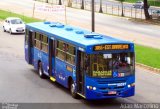 Bettania Ônibus 30397 na cidade de Belo Horizonte, Minas Gerais, Brasil, por Adão Raimundo Marcelino. Número da foto: #1093659.