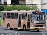 Empresa Dois Irmãos 158 na cidade de Teresina, Piauí, Brasil, por João Victor. Número da foto: #1104678.