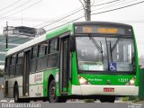 Viação Gato Preto 1 2217 na cidade de São Paulo, São Paulo, Brasil, por Anderson Cristian. Número da foto: #1111724.