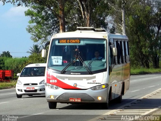 Rouxinol 055 na cidade de Betim, Minas Gerais, Brasil, por Adão Raimundo Marcelino. Número da foto: #1120304.