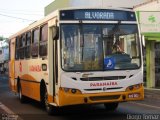 Viação Paranaíba 310 na cidade de Ituiutaba, Minas Gerais, Brasil, por Diogo Tomaz. Número da foto: #1120894.
