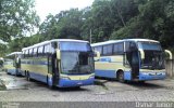 Viação Novo Horizonte 1000511 na cidade de Salvador, Bahia, Brasil, por Osmar Junior. Número da foto: #1122067.