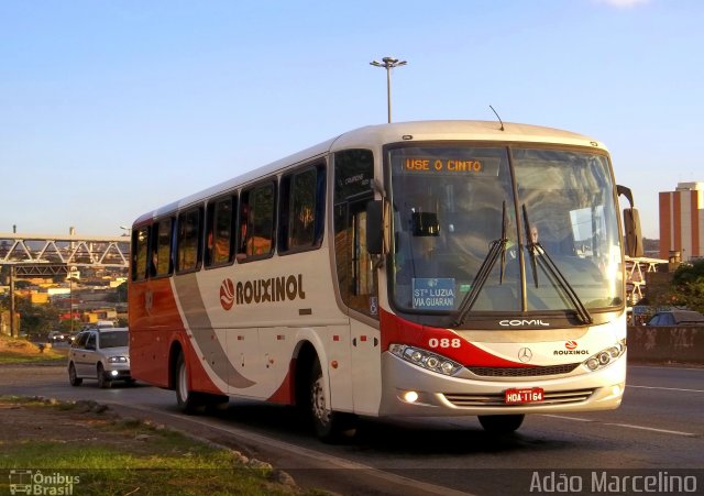 Rouxinol 088 na cidade de Belo Horizonte, Minas Gerais, Brasil, por Adão Raimundo Marcelino. Número da foto: #1071067.
