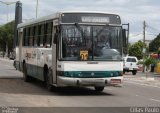 Empresa Lobo de Transportes 110 na cidade de Juazeiro do Norte, Ceará, Brasil, por Cillas Paulo. Número da foto: #1072442.