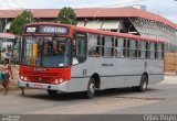 Empresa Lobo de Transportes 240 na cidade de Juazeiro do Norte, Ceará, Brasil, por Cillas Paulo. Número da foto: #1072376.