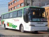 Buses Nilahue  na cidade de , por José Arroyo Jgambuss. Número da foto: #1074521.