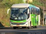 Pássaro Verde 1049 na cidade de Viçosa, Minas Gerais, Brasil, por Julio Cesar Euzebio Alves. Número da foto: #:id.