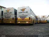 Empresa Gontijo de Transportes 9980 na cidade de Belo Horizonte, Minas Gerais, Brasil, por Acácio Souza. Número da foto: #1125263.