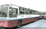 Vitral - Violeta Transportes 8563 na cidade de Salvador, Bahia, Brasil, por Renato Primavera Jr. Número da foto: #:id.