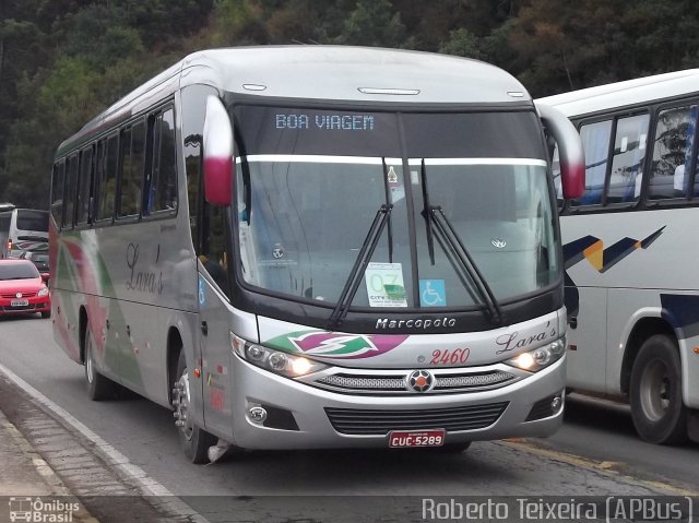 Lara´s Turismo 2460 na cidade de Campos do Jordão, São Paulo, Brasil, por Roberto Teixeira. Número da foto: #1147976.