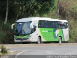 Pássaro Verde 1048 na cidade de Viçosa, Minas Gerais, Brasil, por Julio Cesar Euzebio Alves. Número da foto: #:id.