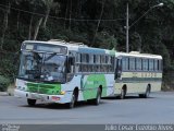 Pássaro Verde 25013 na cidade de Viçosa, Minas Gerais, Brasil, por Julio Cesar Euzebio Alves. Número da foto: #:id.