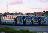 Viação Novo Horizonte 904711 na cidade de Salvador, Bahia, Brasil, por Osmar Junior. Número da foto: #1152167.