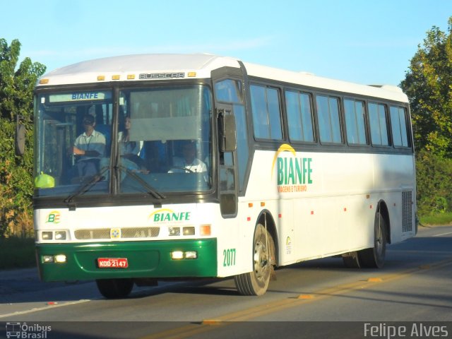 Bianfe Transportes e Turismo 2077 na cidade de Pelotas, Rio Grande do Sul, Brasil, por Felipe Alves. ID da foto: 1153176.