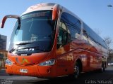 Pullman Bus  na cidade de , por Carlos Sobarzo. Número da foto: #1155124.