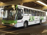 Auto Viação Beira Rio 10010 na cidade de Piracicaba, São Paulo, Brasil, por Gabriel Ramos Gomes. Número da foto: #1155090.