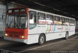 VINCO - Viação Noivacolinense 1077 na cidade de Piracicaba, São Paulo, Brasil, por Gabriel Ramos Gomes. Número da foto: #1156445.