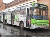 Viação Millenium 1181 na cidade de Piracicaba, São Paulo, Brasil, por Gabriel Ramos Gomes. Número da foto: #1159349.