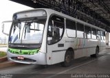 Viação Millenium 1341 na cidade de Piracicaba, São Paulo, Brasil, por Gabriel Ramos Gomes. Número da foto: #1159351.