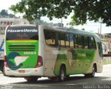 Pássaro Verde 11094 na cidade de Leopoldina, Minas Gerais, Brasil, por Gilberto Martins. Número da foto: #:id.