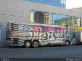 Hawai Show Band SN na cidade de Pelotas, Rio Grande do Sul, Brasil, por Felipe Alves. Número da foto: #:id.