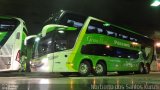 Pássaro Verde 12122 na cidade de Belo Horizonte, Minas Gerais, Brasil, por Norberto dos Santos Kunzli. Número da foto: #1165915.