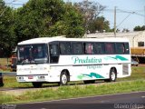 Produtiva Turismo 8766 na cidade de Foz do Iguaçu, Paraná, Brasil, por Otavio Felipe Balbinot. Número da foto: #1167789.