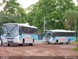 Ribe Transporte 1345 na cidade de Ribeirão Preto, São Paulo, Brasil, por Diego Leão. Número da foto: #1166376.