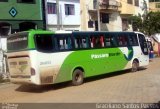Pássaro Verde 26013 na cidade de Caratinga, Minas Gerais, Brasil, por Graciliano Santos Passos. Número da foto: #:id.