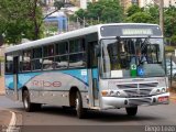 Ribe Transporte 1375 na cidade de Ribeirão Preto, São Paulo, Brasil, por Diego Leão. Número da foto: #1166381.