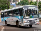 Ribe Transporte 1375 na cidade de Ribeirão Preto, São Paulo, Brasil, por Diego Leão. ID da foto: :id.