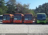Lev Transporte Rodoviário SN na cidade de Duque de Caxias, Rio de Janeiro, Brasil, por Marcelo Candido de Oliveira. Número da foto: #1173754.