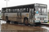 Viação Trevisan e Logística 20879 na cidade de Piracicaba, São Paulo, Brasil, por Gabriel Ramos Gomes. Número da foto: #1174392.