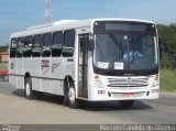 NL Transportes > Nova Log Service 94 na cidade de Itaboraí, Rio de Janeiro, Brasil, por Marcelo Candido de Oliveira. Número da foto: #1175980.