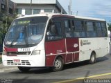 Transwolff Transportes e Turismo 7 8133 na cidade de São Paulo, São Paulo, Brasil, por Fabrício Gomes. Número da foto: #1179022.