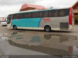 Empresa de Ônibus Nossa Senhora da Penha 33613 na cidade de Pelotas, Rio Grande do Sul, Brasil, por Felipe Alves. ID da foto: :id.