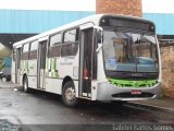 Viação Millenium 1091 na cidade de Piracicaba, São Paulo, Brasil, por Gabriel Ramos Gomes. Número da foto: #1136155.