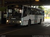 Viação Trevisan e Logística 20619 na cidade de Piracicaba, São Paulo, Brasil, por Gabriel Ramos Gomes. Número da foto: #1135929.