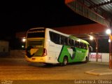 Pássaro Verde 11100 na cidade de Manhuaçu, Minas Gerais, Brasil, por Guilherme A.  Oliveira. Número da foto: #:id.