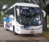 VIDA - Viação Danúbio Azul 11.003 na cidade de São Paulo, São Paulo, Brasil, por Ildeu Ribeiro. Número da foto: #1141363.