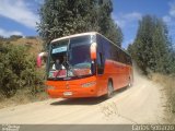 Pullman Bus  na cidade de , por Carlos Sobarzo. Número da foto: #1142263.
