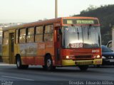Viação Santa Edwiges 69119 na cidade de Betim, Minas Gerais, Brasil, por Douglas  Eduardo Adbus. Número da foto: #1209789.