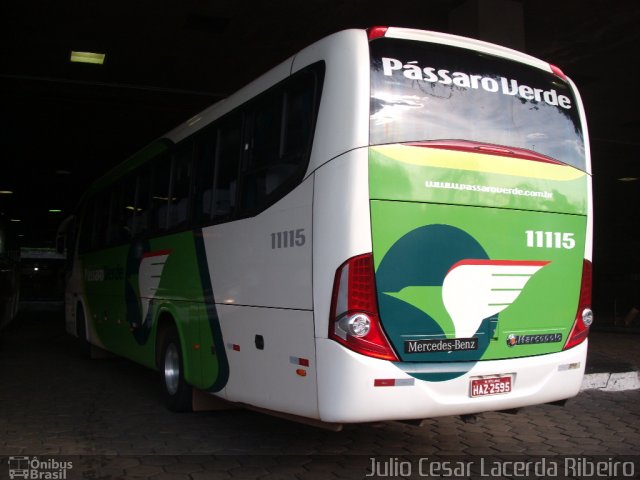 Pássaro Verde 11115 na cidade de Belo Horizonte, Minas Gerais, Brasil, por Julio Cesar Lacerda Ribeiro. Número da foto: #1211887.