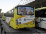 Viação Campo dos Ouros 3049 na cidade de Guarulhos, São Paulo, Brasil, por Edmilson Bandeira. Número da foto: #:id.