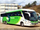 Pássaro Verde 11101 na cidade de Viçosa, Minas Gerais, Brasil, por Caio César de Freitas Lopes. Número da foto: #:id.