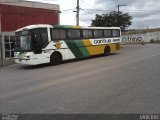 Empresa Gontijo de Transportes 8895 na cidade de Contagem, Minas Gerais, Brasil, por Lauro  Vinicius. Número da foto: #1194115.