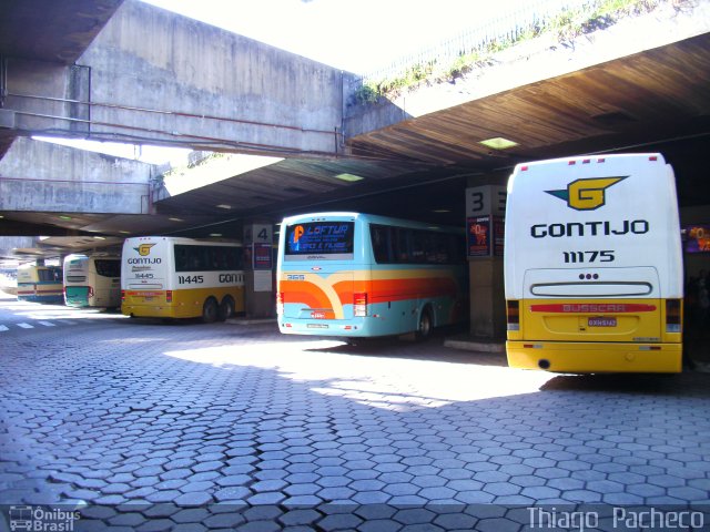 Empresa Gontijo de Transportes 11175 na cidade de Belo Horizonte, Minas Gerais, Brasil, por Thiago  Pacheco. ID da foto: 1233193.