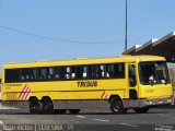 Viação Itapemirim 20393 na cidade de Teresina, Piauí, Brasil, por João Victor. Número da foto: #1233882.